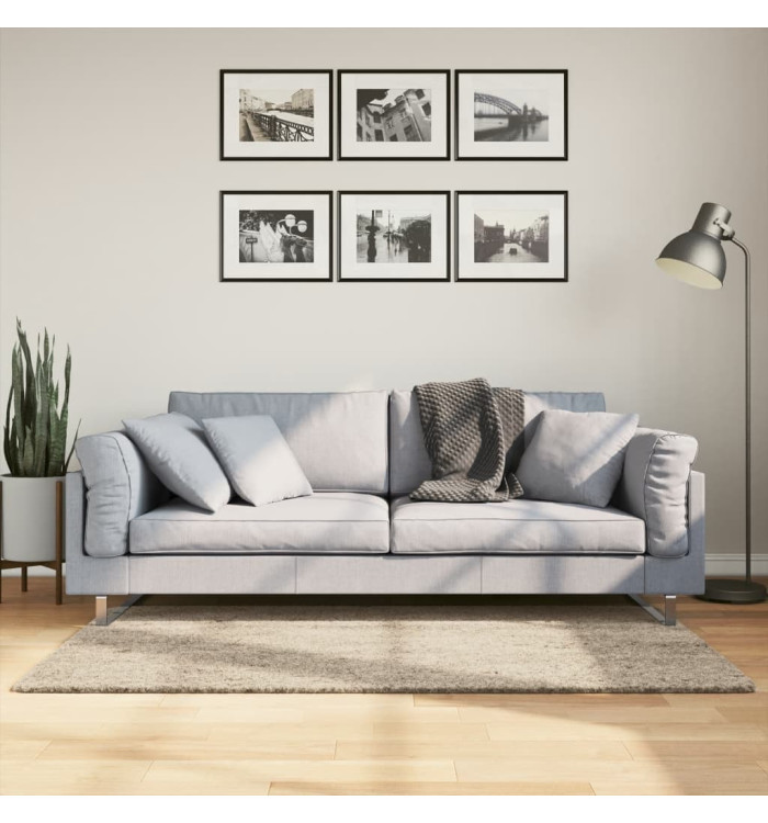 Tapis ISTAN à poils longs aspect brillant beige 80x150 cm | Mobilier & Déco