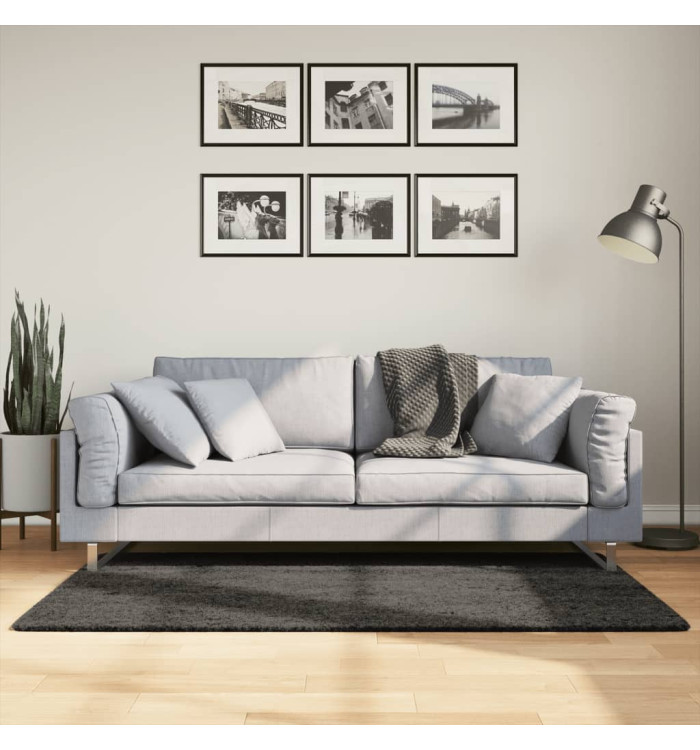 Tapis ISTAN à poils longs aspect brillant anthracite 80x150 cm | Mobilier & Déco