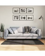 Tapis ISTAN à poils longs aspect brillant anthracite 80x150 cm | Mobilier & Déco