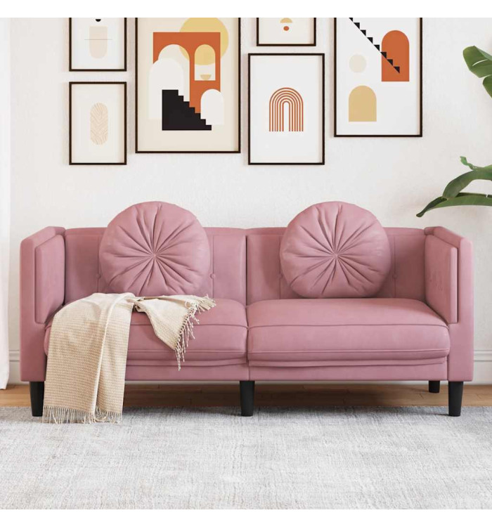 Canapé avec coussins 2 places rose velours | Mobilier & Déco