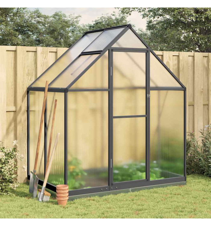 Serre avec cadre de base anthracite 169x114x202 cm aluminium | Mobilier & Déco