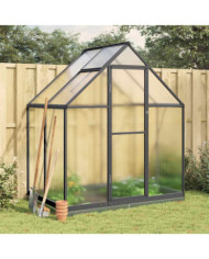 Serre avec cadre de base anthracite 169x114x202 cm aluminium | Mobilier & Déco