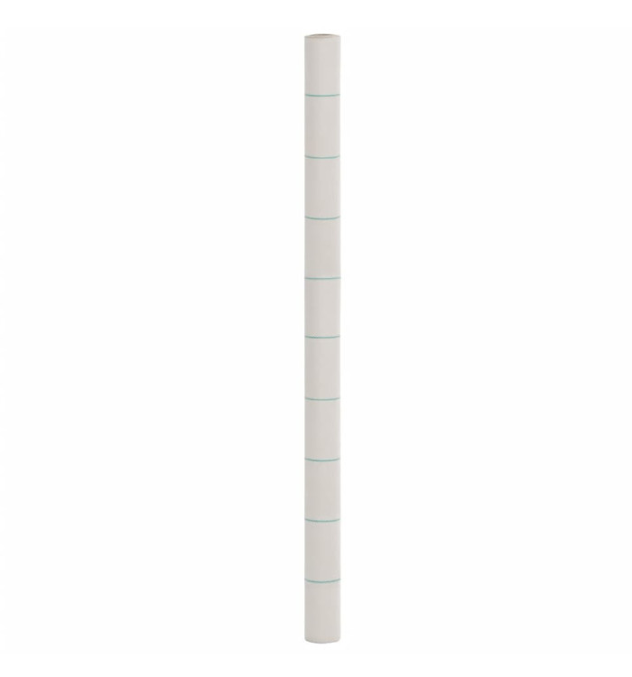 Membrane anti-mauvaises herbes blanc 2x50 m PP | Mobilier & Déco