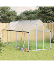 Serre avec cadre de base argenté 445x169x195 cm aluminium | Mobilier & Déco
