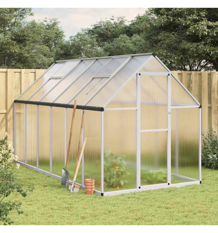 Serre avec cadre de base argenté 334x169x195 cm aluminium | Mobilier & Déco