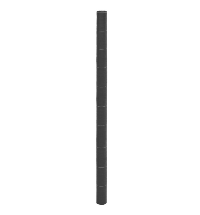 Membrane anti-mauvaises herbes noir 2x50 m PP | Mobilier & Déco