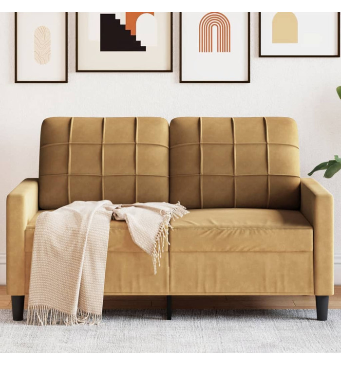 Canapé à 2 places Marron 120 cm Velours | Mobilier & Déco