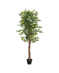Citronnier artificiel avec 3 troncs vert 180 cm PP | Mobilier & Déco