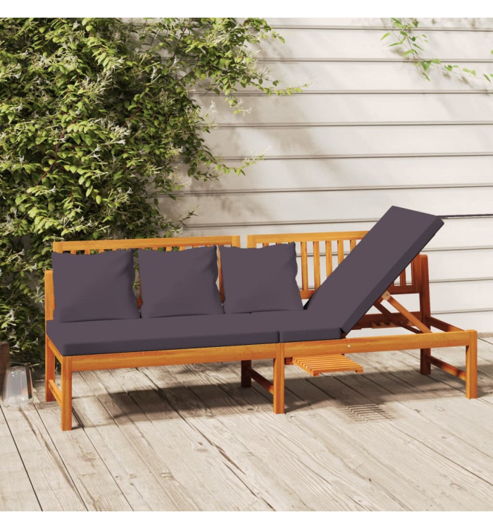  Lit de jour avec coussin gris 200x60x75 cm Bois d'acacia solide | Mobilier & Déco