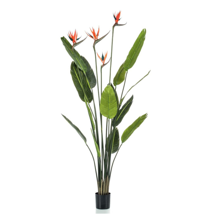 Emerald Plante artificielle Strelitzia avec 4 fleurs en pot 150 cm | Mobilier & Déco