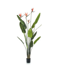 Emerald Plante artificielle Strelitzia avec 4 fleurs en pot 150 cm | Mobilier & Déco