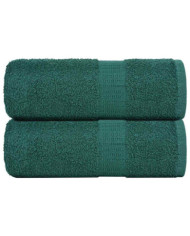 Serviettes de visage 2 pcs vert 30x30 cm 360 g/m² 100% coton | Mobilier & Déco