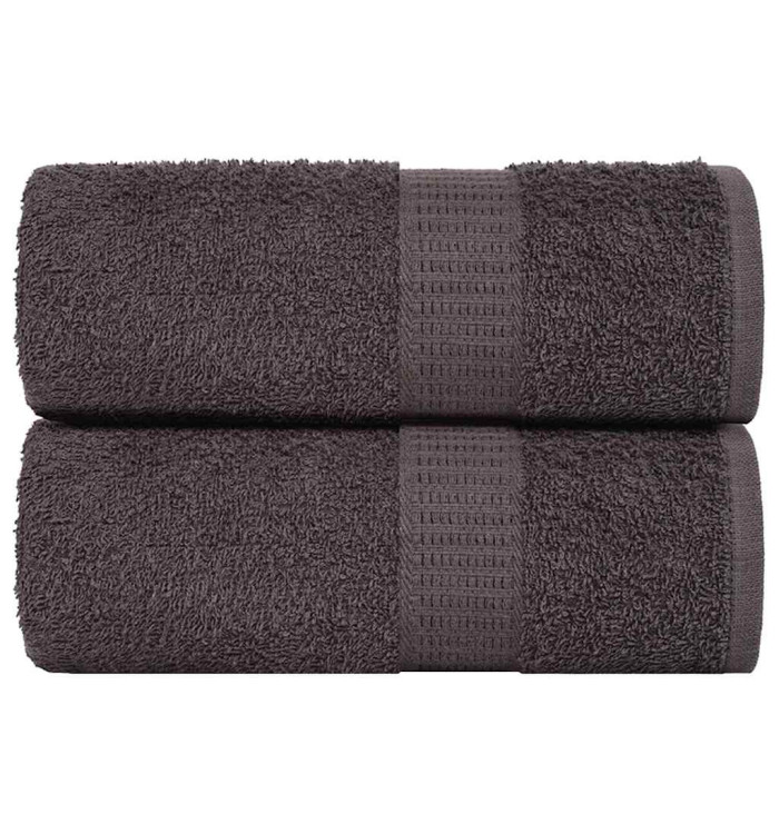 Serviettes d'invité 2 pcs anthracite 30x50cm 360g/m² 100% coton | Mobilier & Déco