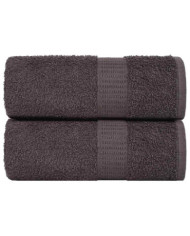 Serviettes d'invité 2 pcs anthracite 30x50cm 360g/m² 100% coton | Mobilier & Déco