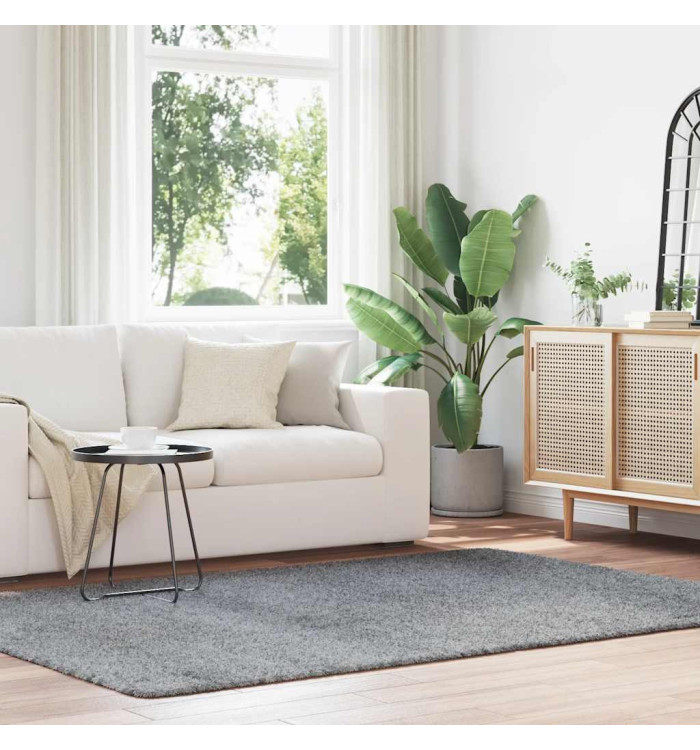 Tapis shaggy à poils longs NAVARRA gris argenté 160x230 cm | Mobilier & Déco