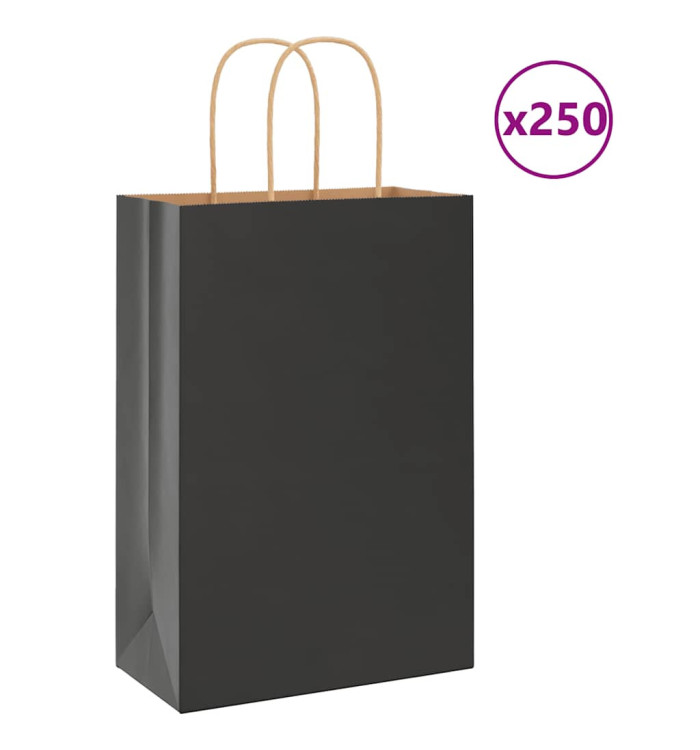 Sacs en papier 250 pcs avec poignées noir 21x11x31 cm | Mobilier & Déco