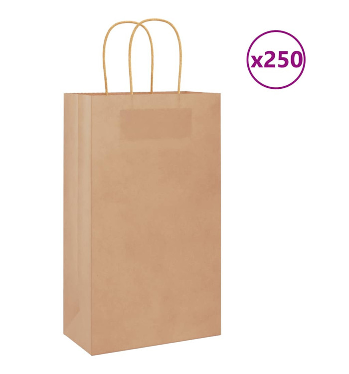 Sacs en papier 250 pcs avec poignées marron 21x11x36 cm | Mobilier & Déco