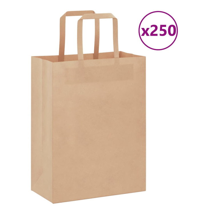 Sacs en papier 250 pcs avec poignées marron 21x11x28 cm | Mobilier & Déco