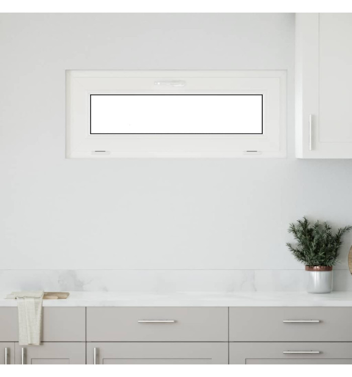 Fenêtre de sous-sol RISOR 100x40 cm inclinable 2 vitrages blanc | Mobilier & Déco