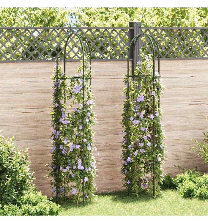 Arche de jardin en forme de tour 2 pcs | Mobilier & Déco