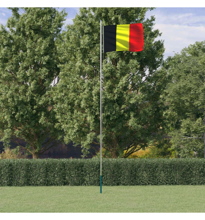 Drapeau de la Belgique et mât 6,23 m Aluminium | Mobilier & Déco