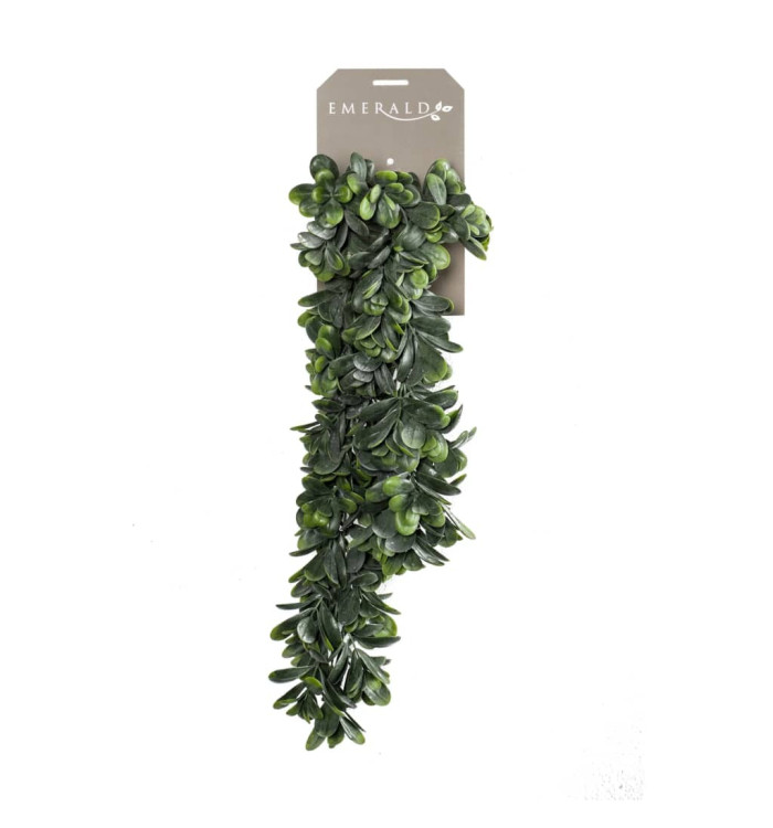 Emerald Crassula artificiel 80 cm | Mobilier & Déco