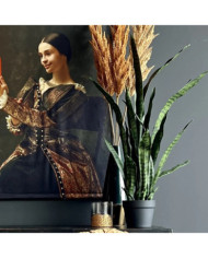 Emerald Plante artificielle Sanseveria en pot 84 cm | Mobilier & Déco