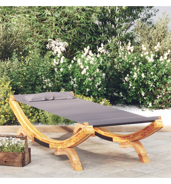 Lit de repos extérieur 100x188,5x44 cm Bois courbé Anthracite | Mobilier & Déco