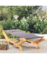 Lit de repos extérieur 100x188,5x44 cm Bois courbé Anthracite | Mobilier & Déco