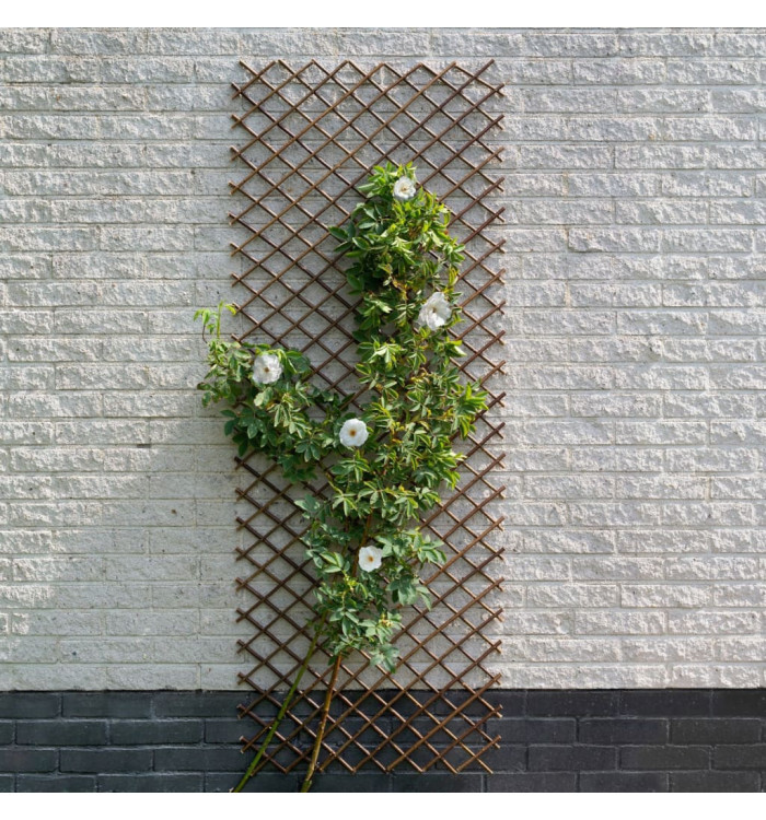 Nature Treillis de jardin 30x180 cm saule naturel marron | Mobilier & Déco