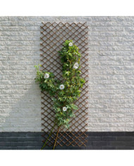 Nature Treillis de jardin 30x180 cm saule naturel marron | Mobilier & Déco