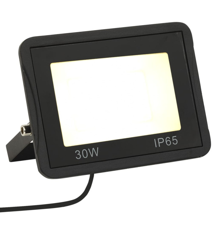 Projecteur à LED 30 W Blanc chaud | Mobilier & Déco
