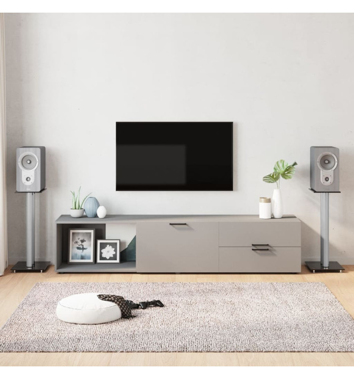 Supports de haut-parleurs 2 pcs noir/argenté 2 piliers | Mobilier & Déco