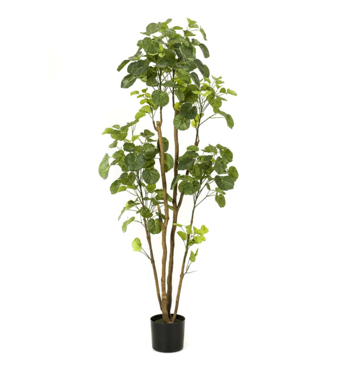 Emerald Arbre de Polyscias artificiel en pot 160 cm | Mobilier & Déco