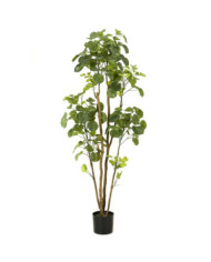 Emerald Arbre de Polyscias artificiel en pot 160 cm | Mobilier & Déco