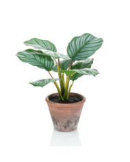 Emerald Calathea Orbifolia artificiel Terra 32 cm en pot | Mobilier & Déco