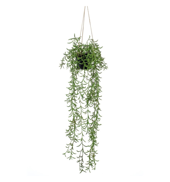 Emerald Buisson suspendu senecio artificiel en pot 70 cm | Mobilier & Déco