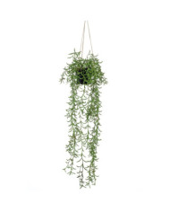 Emerald Buisson suspendu senecio artificiel en pot 70 cm | Mobilier & Déco