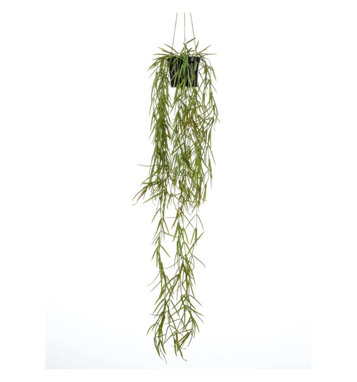Emerald Buisson suspendu de hoya artificiel 80 cm en pot | Mobilier & Déco