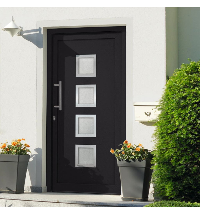 Porte d'entrée Anthracite 108x200 cm | Mobilier & Déco