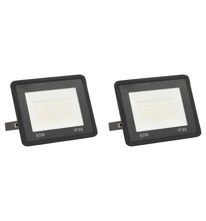 Projecteurs à LED 2 pcs 50 W Blanc froid | Mobilier & Déco