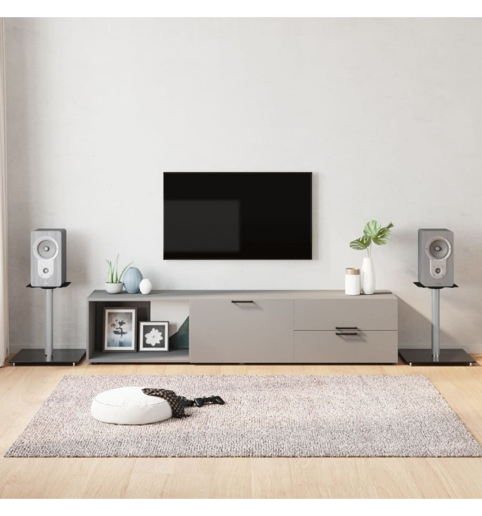 Supports de haut-parleurs 2 pcs noir et argenté 1 pilier | Mobilier & Déco