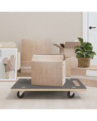 Chariots de transport 2 pcs rectangulaire 80x55x11,5 cm 250 kg | Mobilier & Déco