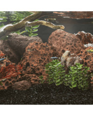 Roches volcaniques 25 kg rouge 10-30 cm | Mobilier & Déco