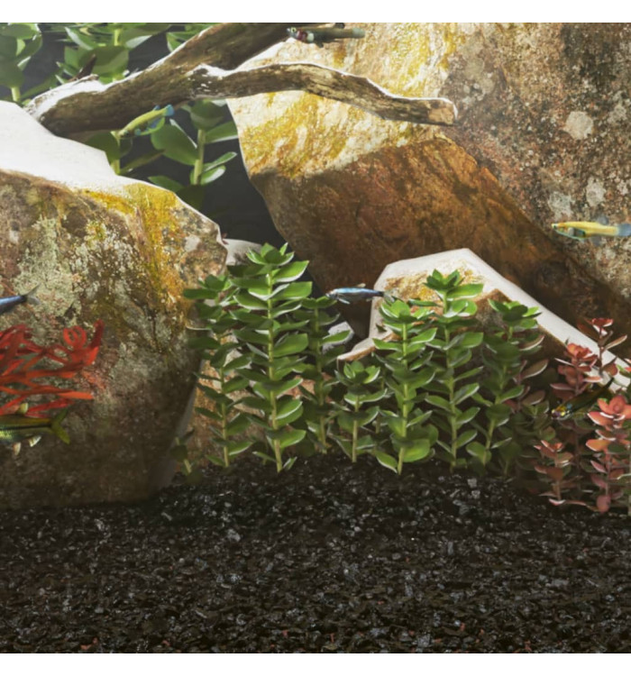 Sable pour aquarium 25 kg noir 0,2-2 mm | Mobilier & Déco