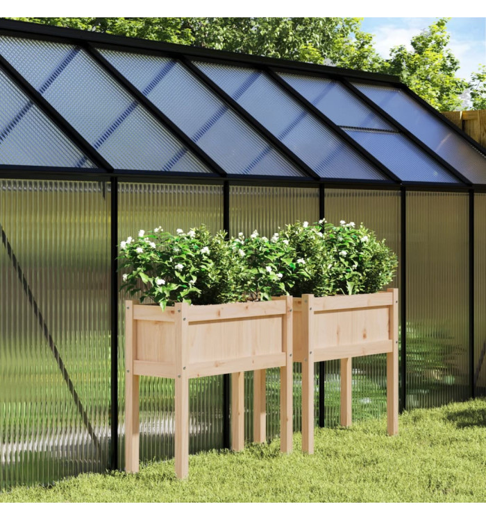 Jardinières 2 pcs avec pieds bois de pin massif | Mobilier & Déco
