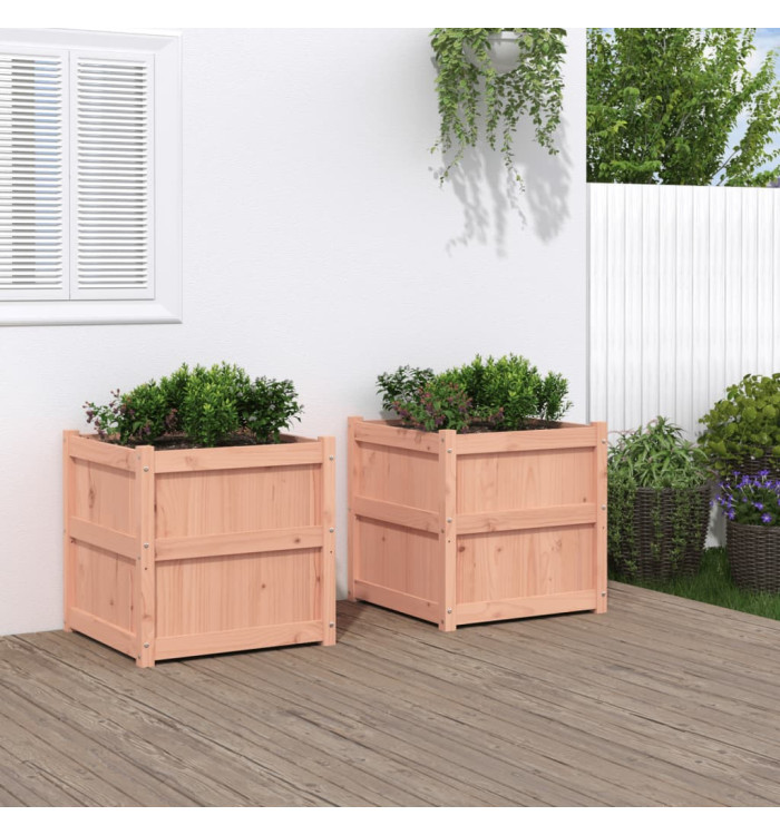 Jardinières 2 pcs bois massif douglas | Mobilier & Déco