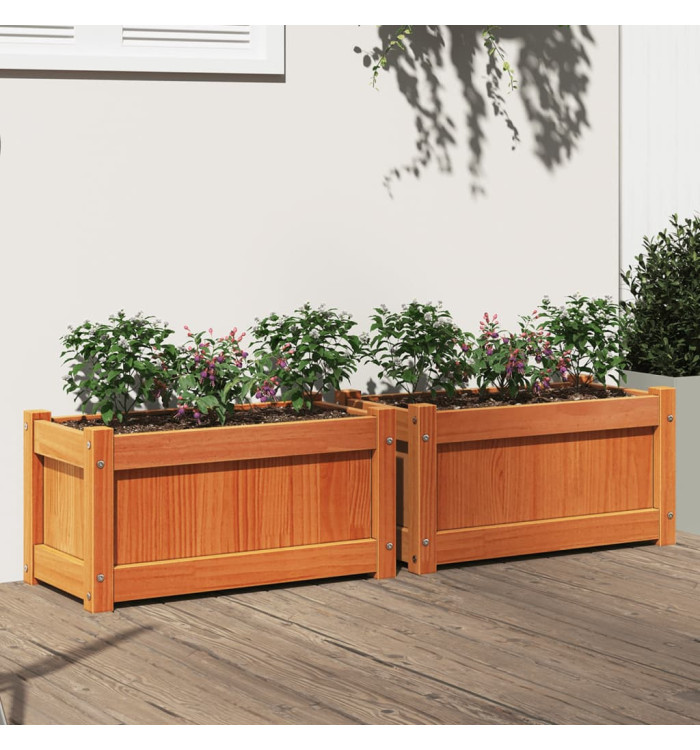 Jardinières 2 pcs cire marron bois de pin massif | Mobilier & Déco