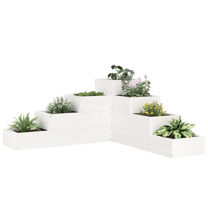 Jardinière 4 niveaux 80,5x79x36 cm blanc bois de pin massif | Mobilier & Déco
