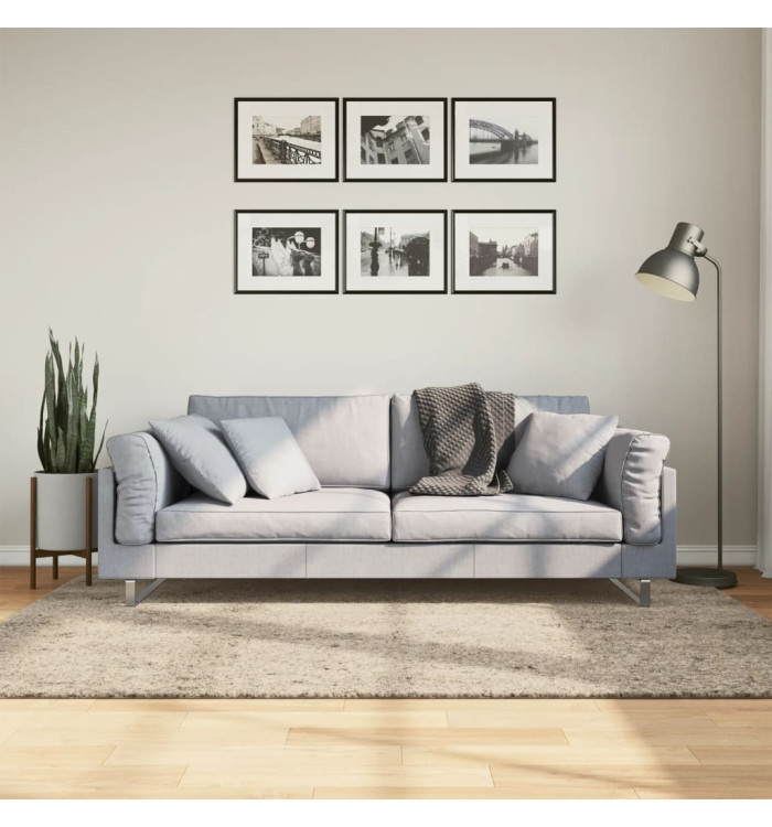 Tapis ISTAN à poils longs aspect brillant beige 140x200 cm | Mobilier & Déco